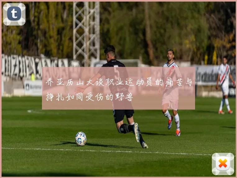 乔亚历山大谈职业运动员的痛苦与挣扎如同受伤的野兽