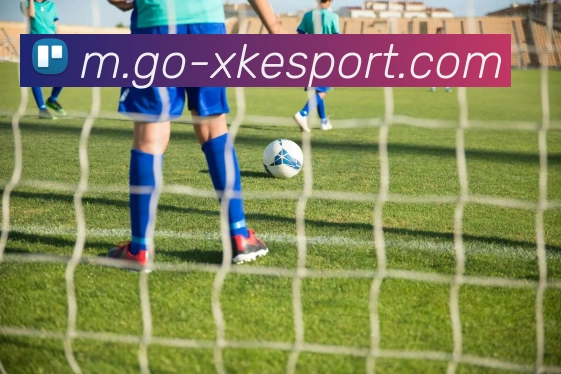 星空电竞服务体系